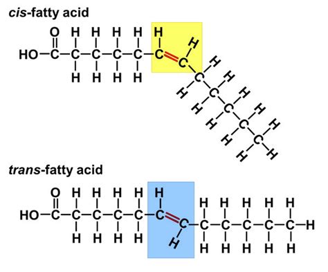 Trans fatty acid structure